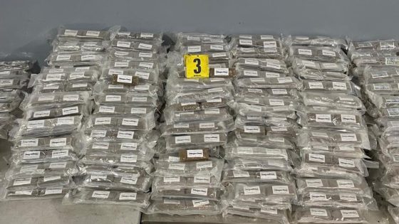 إجهاض عملية للتهريب الدولي للمخدرات بميناء طنجة المتوسط وحجز 828 كيلوغراما من مخدر الشيرا