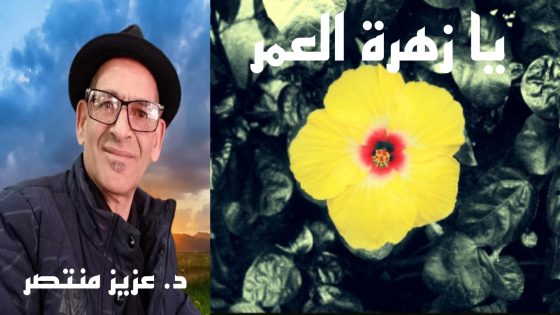 قصيدة : زهرة العمر