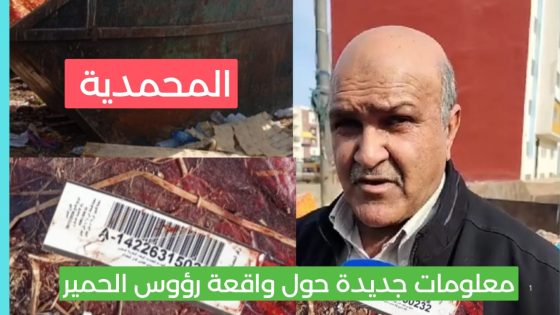 عضو بالجمعية الإقليمية للجزارين بالمحمدية يكشف معلومات جديدة حول واقعة رؤوس وبقايا الحمير…