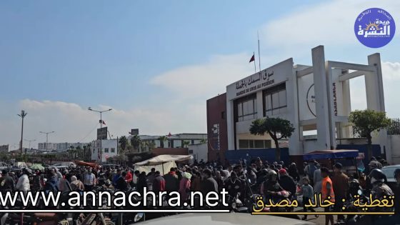 شهادات بالصوت والصورة لمستهلكي وبائعي السمك من أمام سوق السمك بالجملة بالدار البيضاء