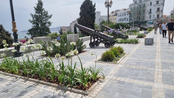 بعد الفضيحة الكبرى ؛ الوالي التازي يعفي المهندس المشرف على ترميم سور المعكازين. 