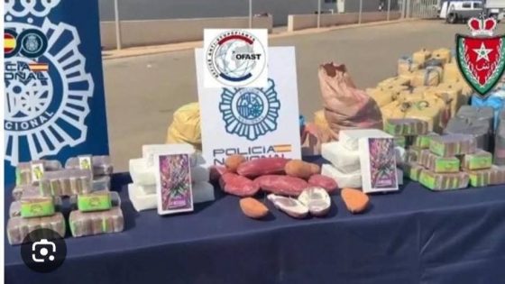 الأمن المغربي يساهم في الإطاحة بشبكة دولية وحجز 15 طنا من الحشيش في إسبانيا