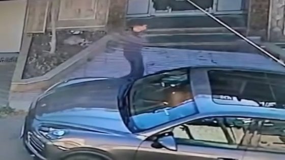 أمن طنجة يوقف “الطوبة “بعد ظهوره في شريط يوثق سرقته لسيدة داخل سيارتها.