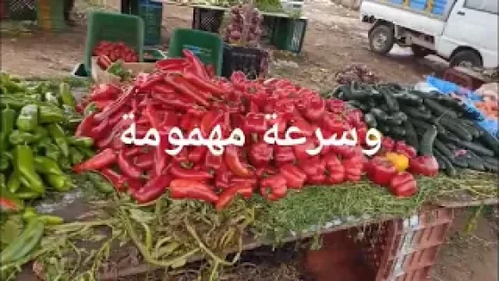 مغرب بسرعتين .. سرعة سعيدة وسرعة مهمومة