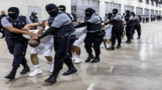 تفكيك أكبر شبكة للزواج الصوري بالأجانب من أجل الإقامة في الولايات المتحدة