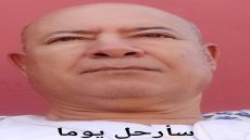 قصيدة : سأرحل يوما
